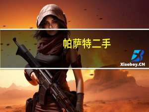 帕萨特二手（pst）