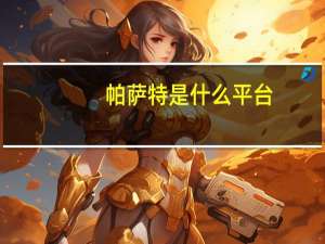 帕萨特是什么平台