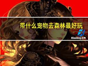 带什么宠物去森林最好玩