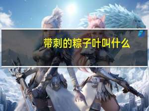 带刺的粽子叶叫什么
