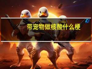 带宠物做核酸什么梗