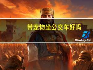 带宠物坐公交车好吗