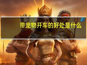 带宠物开车的好处是什么
