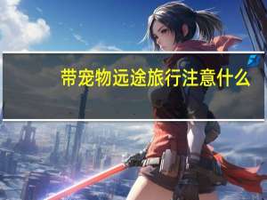带宠物远途旅行注意什么