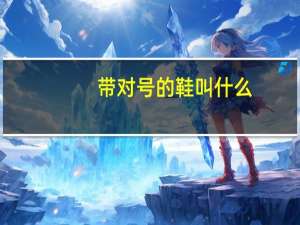 带对号的鞋叫什么