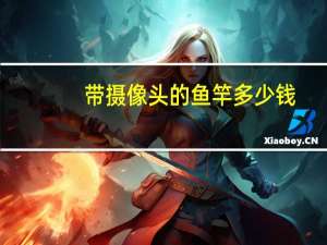 带摄像头的鱼竿多少钱