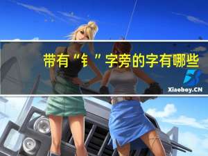 带有“钅”字旁的字有哪些