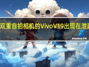 带有双重自拍相机的Vivo V19出现在泄漏的海报中