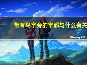 带有鸟字旁的字都与什么有关