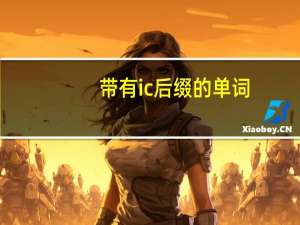 带有ic后缀的单词