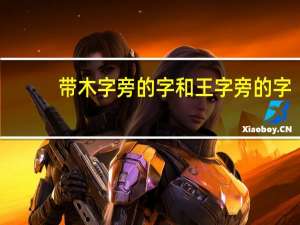 带木字旁的字和王字旁的字