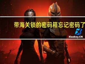 带海关锁的密码箱忘记密码了