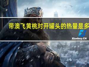 带澳飞 黄桃对开罐头的热量是多少