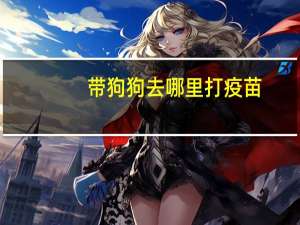 带狗狗去哪里打疫苗