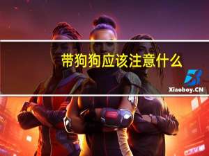 带狗狗应该注意什么