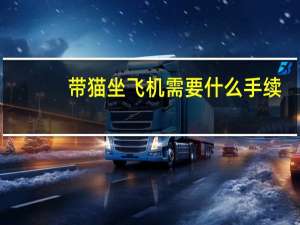 带猫坐飞机需要什么手续