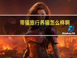 带猫旅行养猫怎么样啊