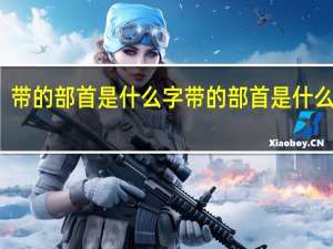 带的部首是什么字 带的部首是什么偏旁