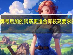 带肋钢筋牌号后加（ ）的钢筋更适合有较高要求的抗震结构使用。