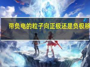带负电的粒子向正极还是负极移动