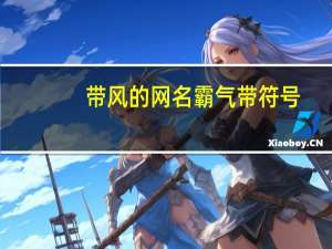 带风的网名霸气带符号（带风的网名）