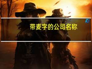 带麦字的公司名称