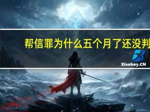 帮信罪为什么五个月了还没判