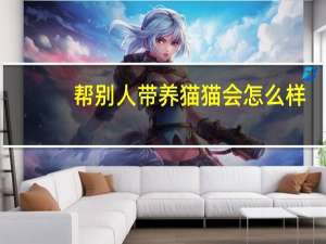 帮别人带养猫猫会怎么样
