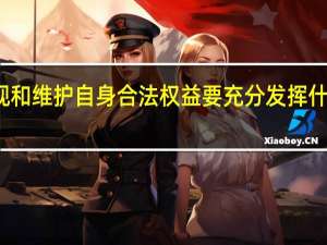 帮助群众实现和维护自身合法权益要充分发挥什么等法律专业机构