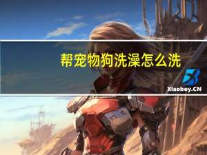 帮宠物狗洗澡怎么洗