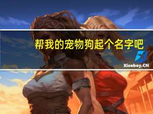 帮我的宠物狗起个名字吧