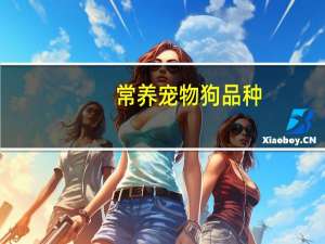 常养宠物狗品种