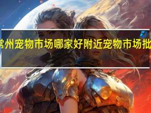 常州宠物市场哪家好 附近宠物市场批发市场