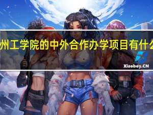 常州工学院的中外合作办学项目有什么优势呢