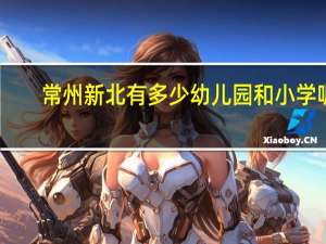常州新北有多少幼儿园和小学呢