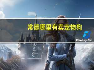 常德哪里有卖宠物狗