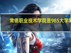 常德职业技术学院是985大学吗
