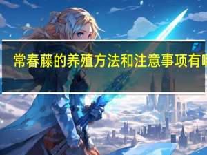 常春藤的养殖方法和注意事项有哪些