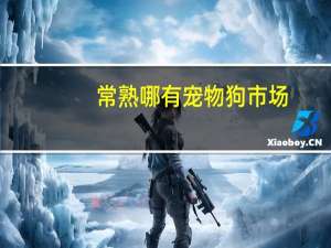 常熟哪有宠物狗市场