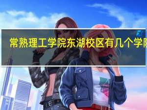 常熟理工学院东湖校区有几个学院啊