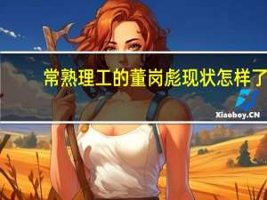 常熟理工的董岗彪现状怎样了