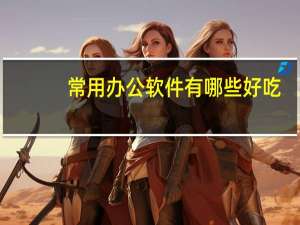 常用办公软件有哪些好吃