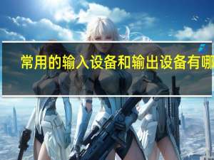 常用的输入设备和输出设备有哪些
