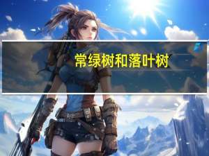 常绿树和落叶树（常绿树）