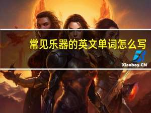 常见乐器的英文单词怎么写