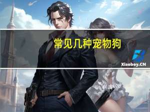 常见几种宠物狗