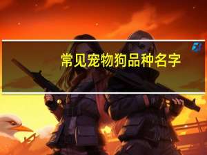 常见宠物狗品种名字
