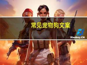 常见宠物狗文案