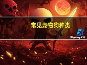 常见宠物狗种类