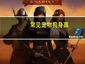 常见宠物狗身高